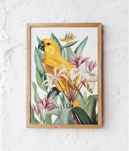 bdb7c8c34ed467e031698bb5f3d08312.jpg