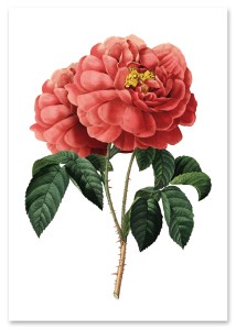 ac17b5d500c5a7693eb5ef1d6cb5f8b0.jpg