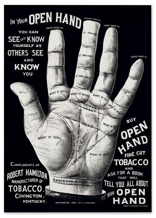 a4fa931d4d5ecc858c23c91a9b77c397.jpg