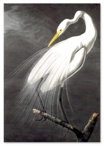 5a26d777ef9cde27d9c52d0de76f312c.jpg
