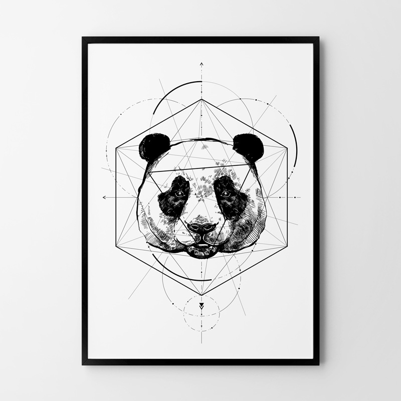 2a9250a58c6b843a5d5faed870a8d31d.jpg