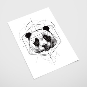 b600ce89121f4c1ab9fbabf371717dd9.jpg