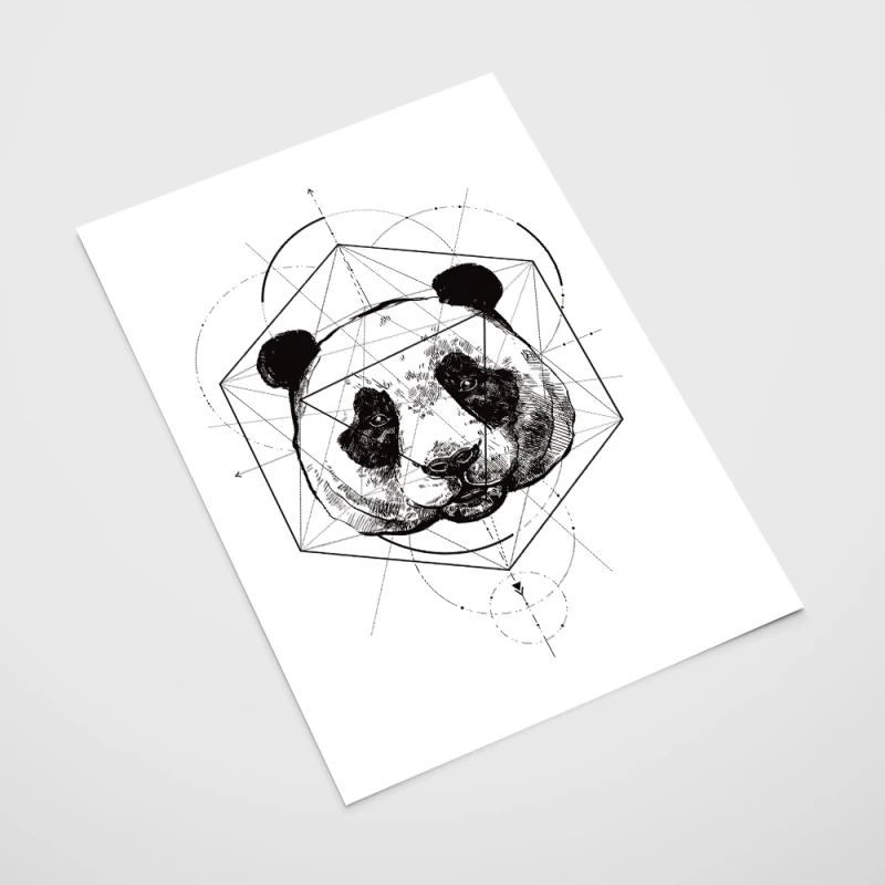 b600ce89121f4c1ab9fbabf371717dd9.jpg