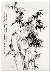 d450d5c7723cfa4f0669a6050e3c42e5.jpg